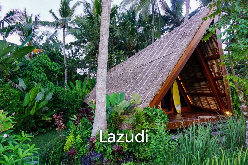 Unique Kedungu Property Set in Nature