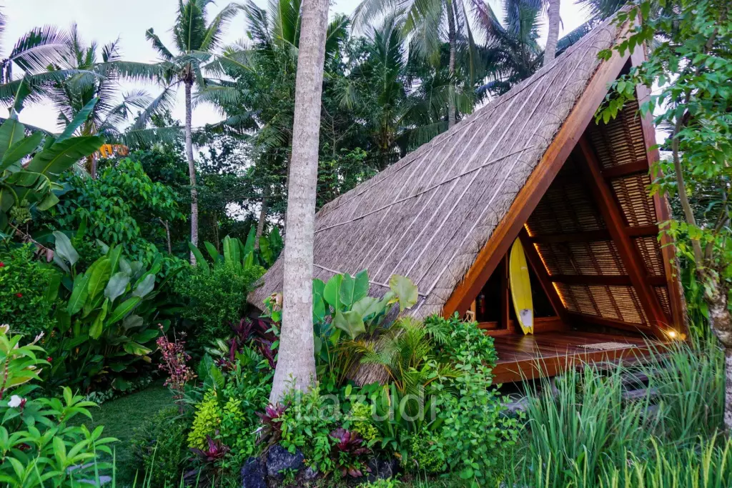 Unique Kedungu Property Set in Nature