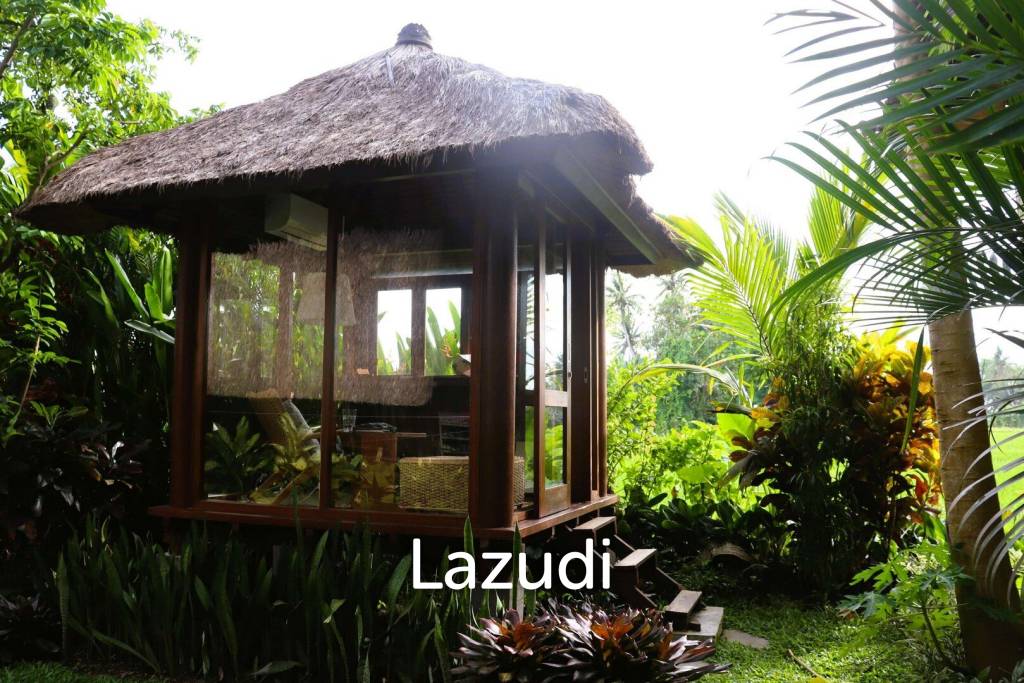 Unique Kedungu Property Set in Nature