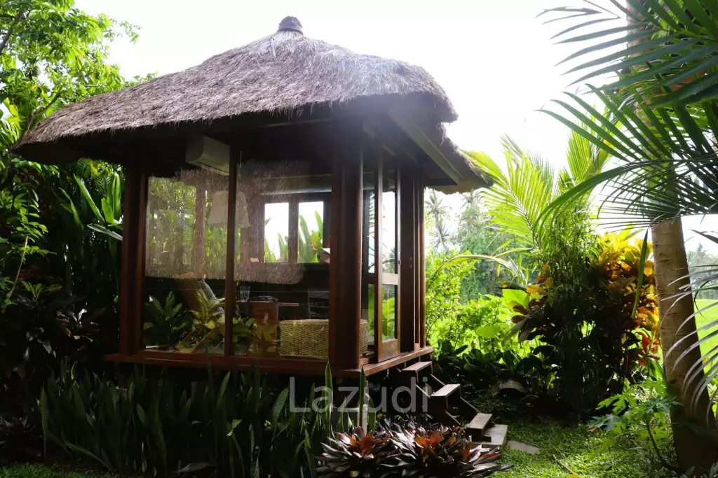 Unique Kedungu Property Set in Nature