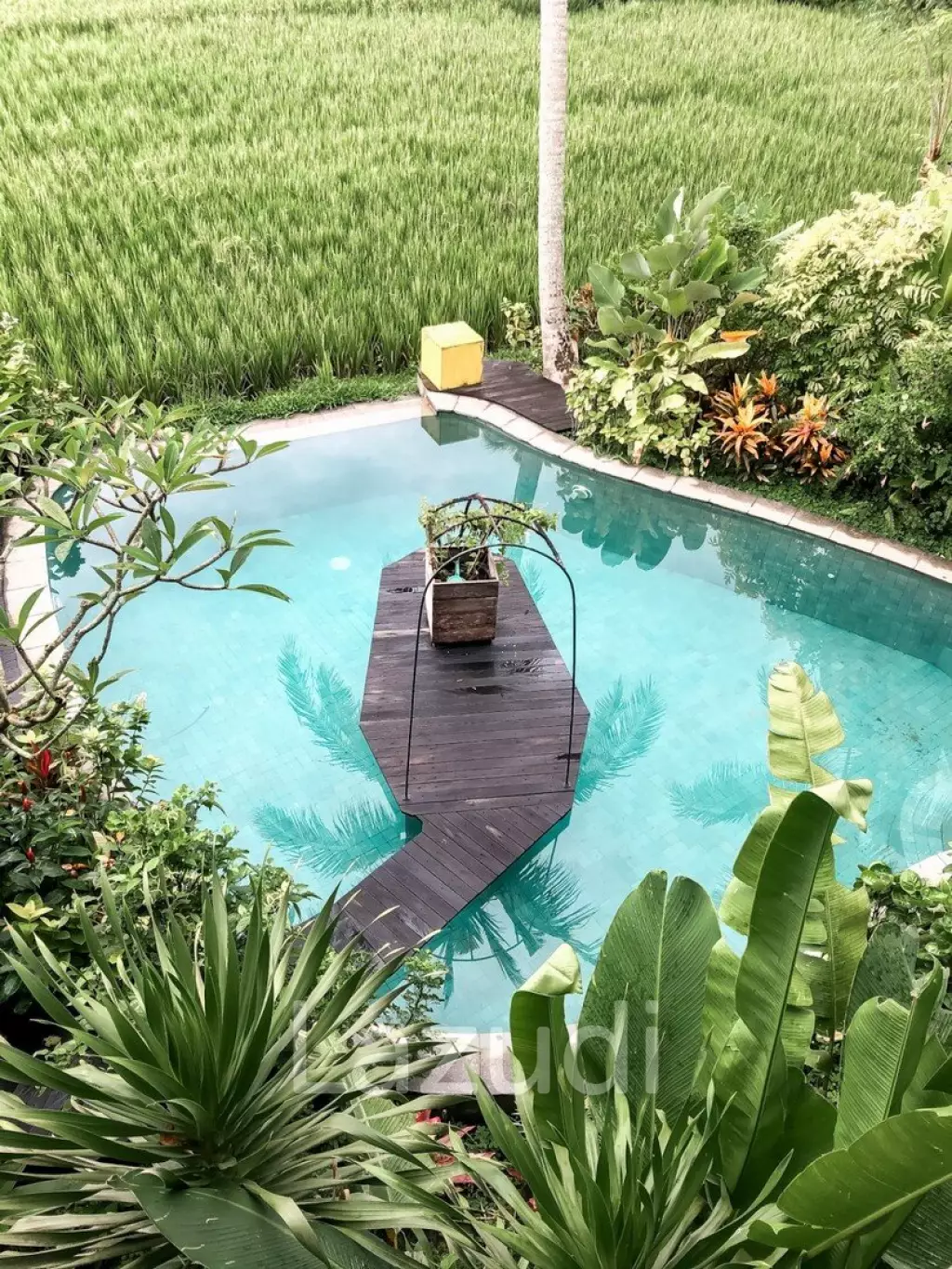 Unique Kedungu Property Set in Nature