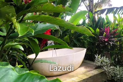 Unique Kedungu Property Set in Nature
