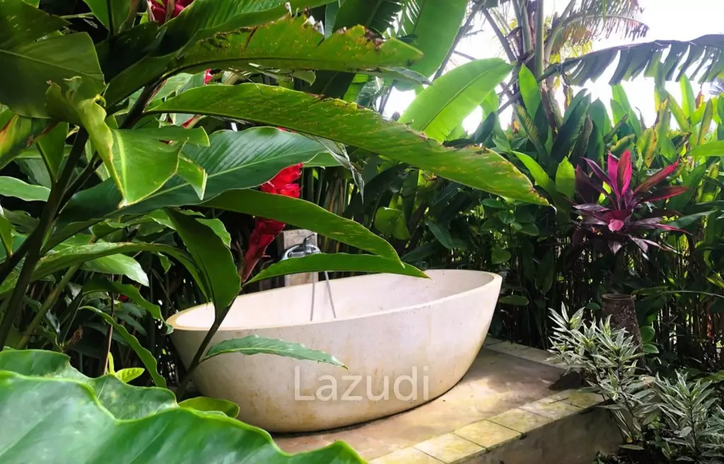 Unique Kedungu Property Set in Nature