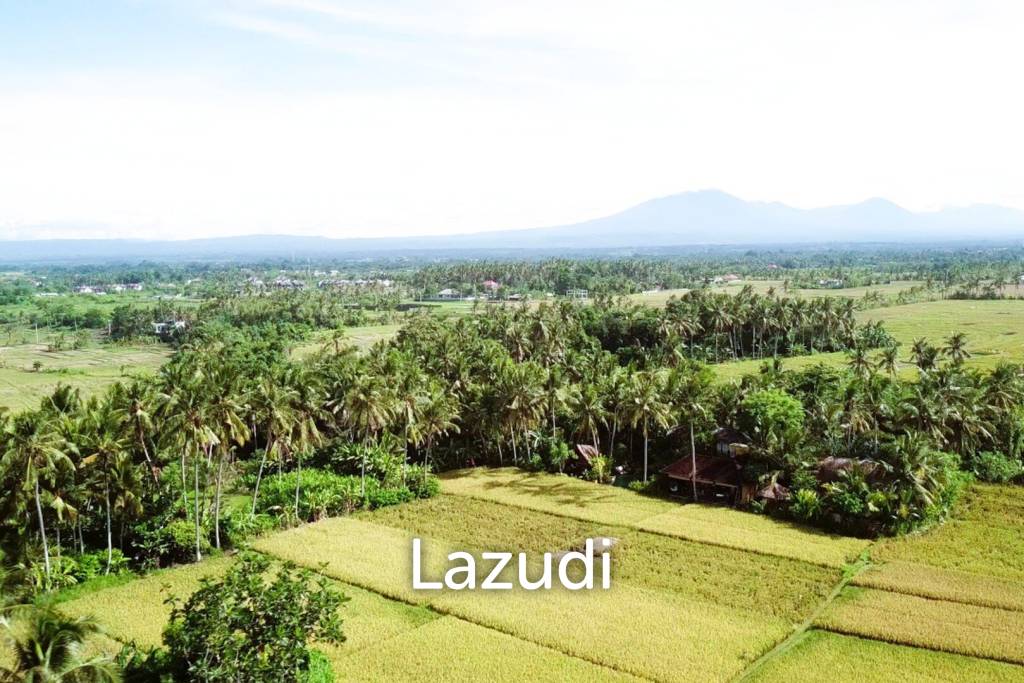 Unique Kedungu Property Set in Nature