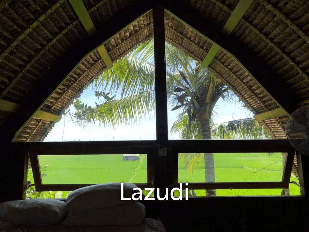 Unique Kedungu Property Set in Nature