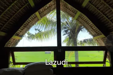 Unique Kedungu Property Set in Nature