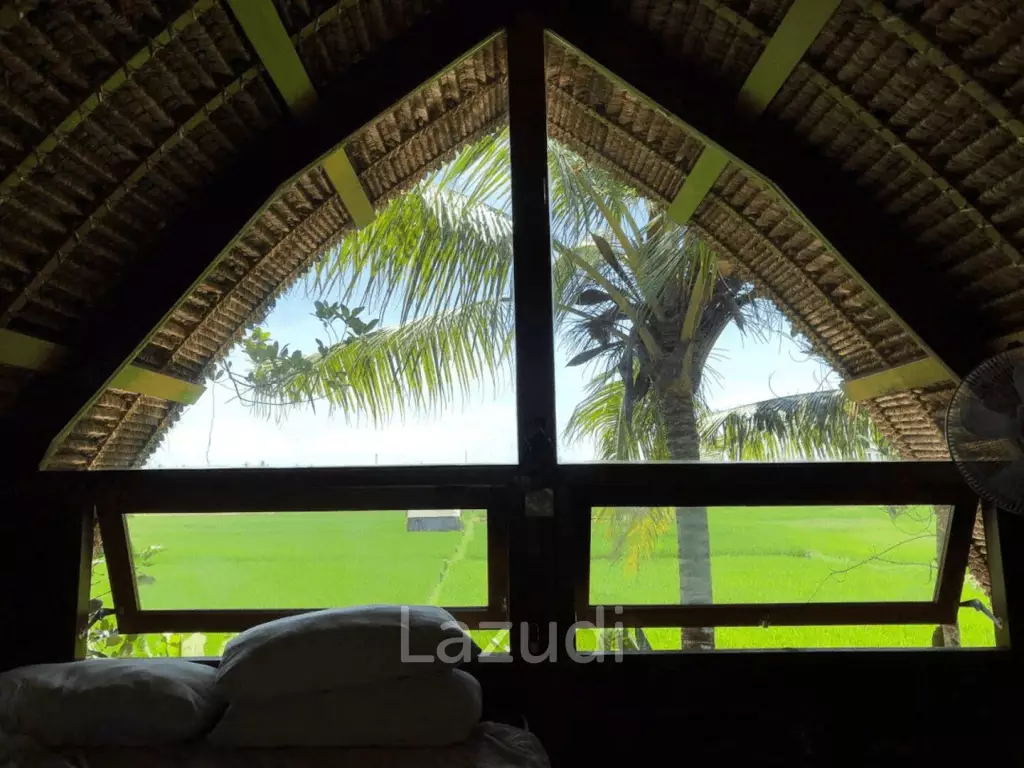 Unique Kedungu Property Set in Nature