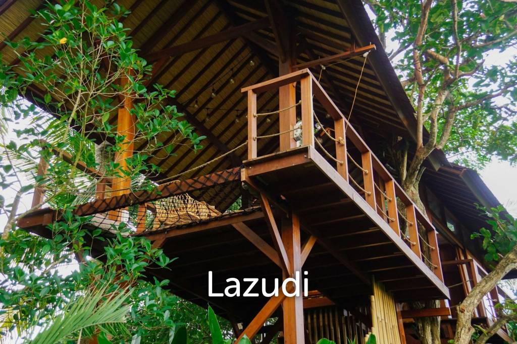 Unique Kedungu Property Set in Nature