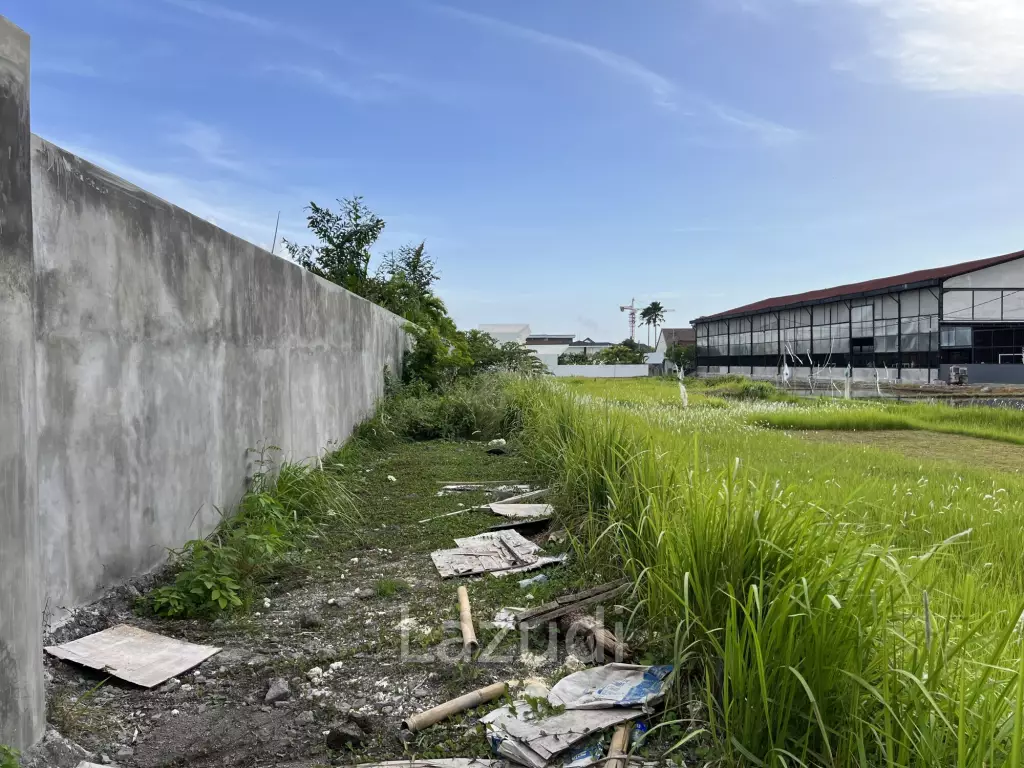 VERY RARE OPPORTUNITY! SMALL FREEHOLD PLOT IN BERAWA, CANGGU