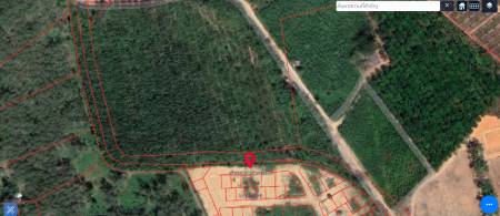 ึ79,040.8 SQ.M. Land For Sale In Thalang