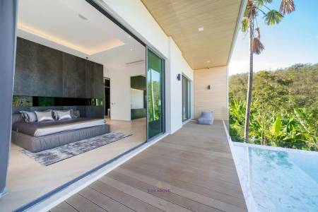 Brandnew Luxury Villa For Rent And Sale In Patong