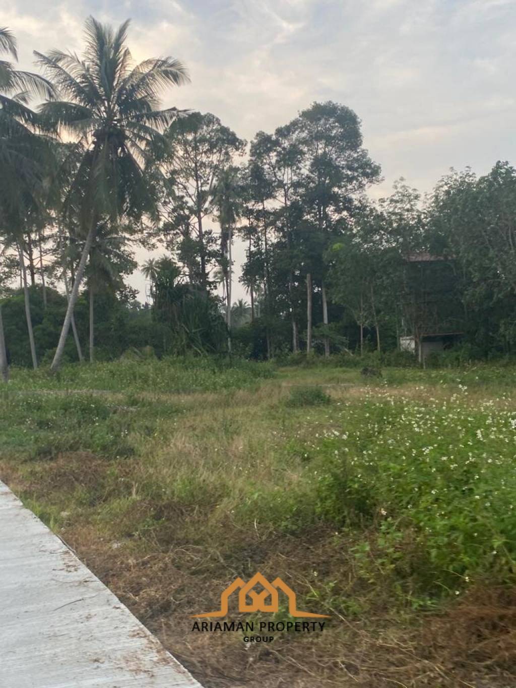 Prime Plots for Your Dream Haven: 400 sqm Gems in Maenam Soi 7