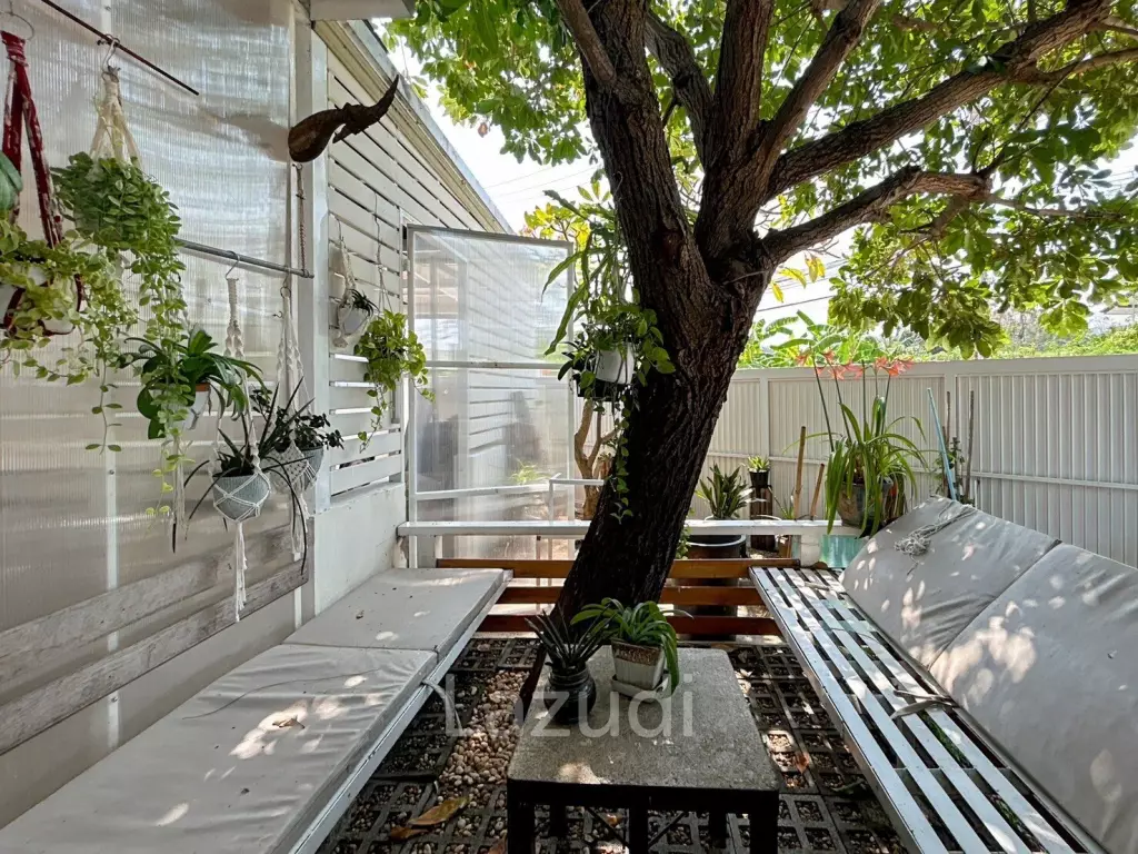 2 Bedrooms House with art gallery for sale