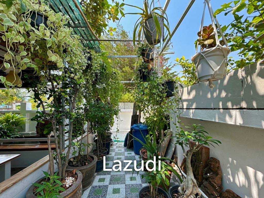 2 Bedrooms House with art gallery for sale