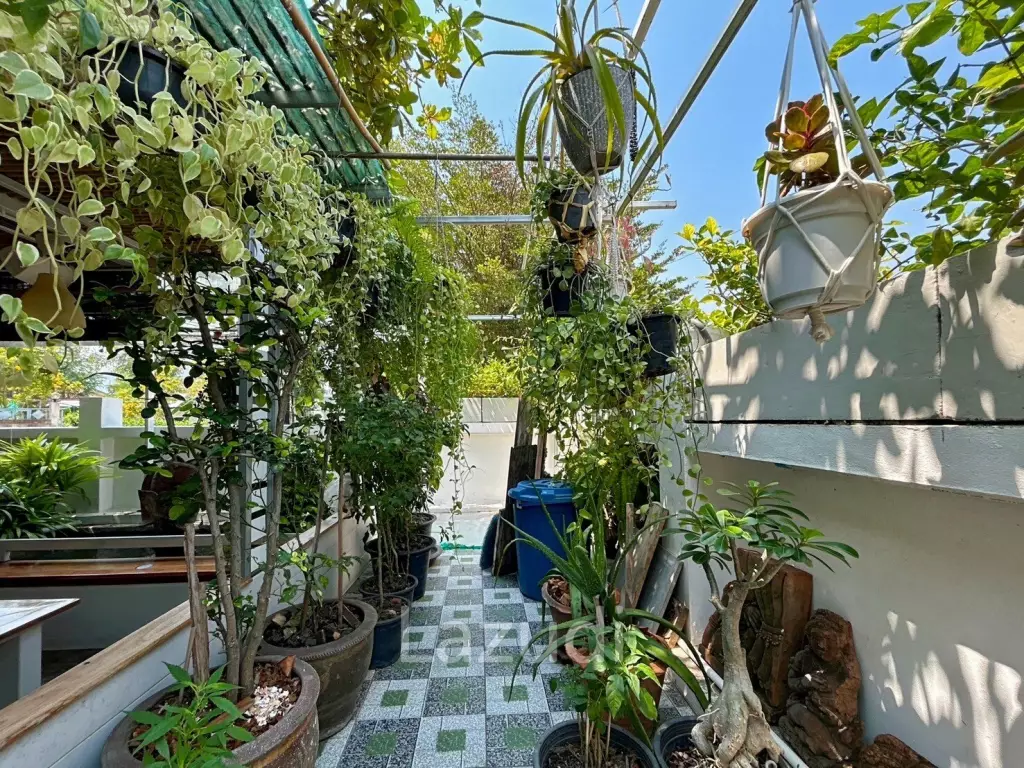 2 Bedrooms House with art gallery for sale