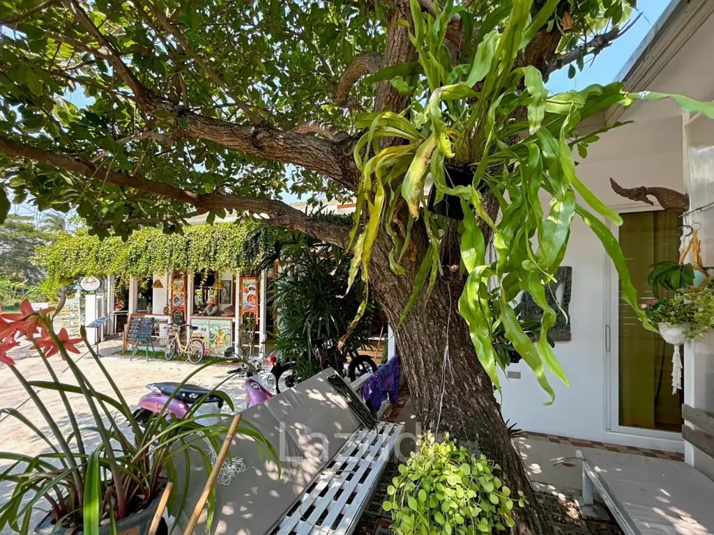 2 Bedrooms House with art gallery for sale