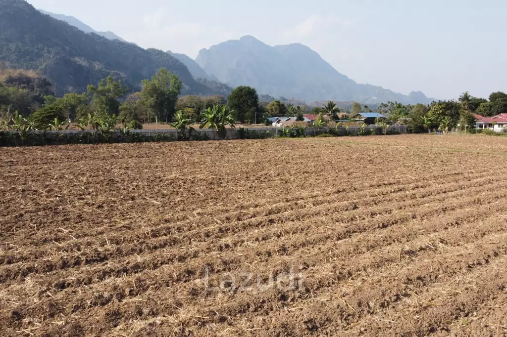ขายสวยที่ดิน 22 ไร่วิวดอยนางนอนที่อ.แม่สาย