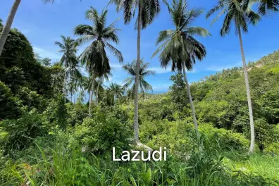 Exceptional 800 sqm Land in Haad Yao with Breathtaking Sea Views
