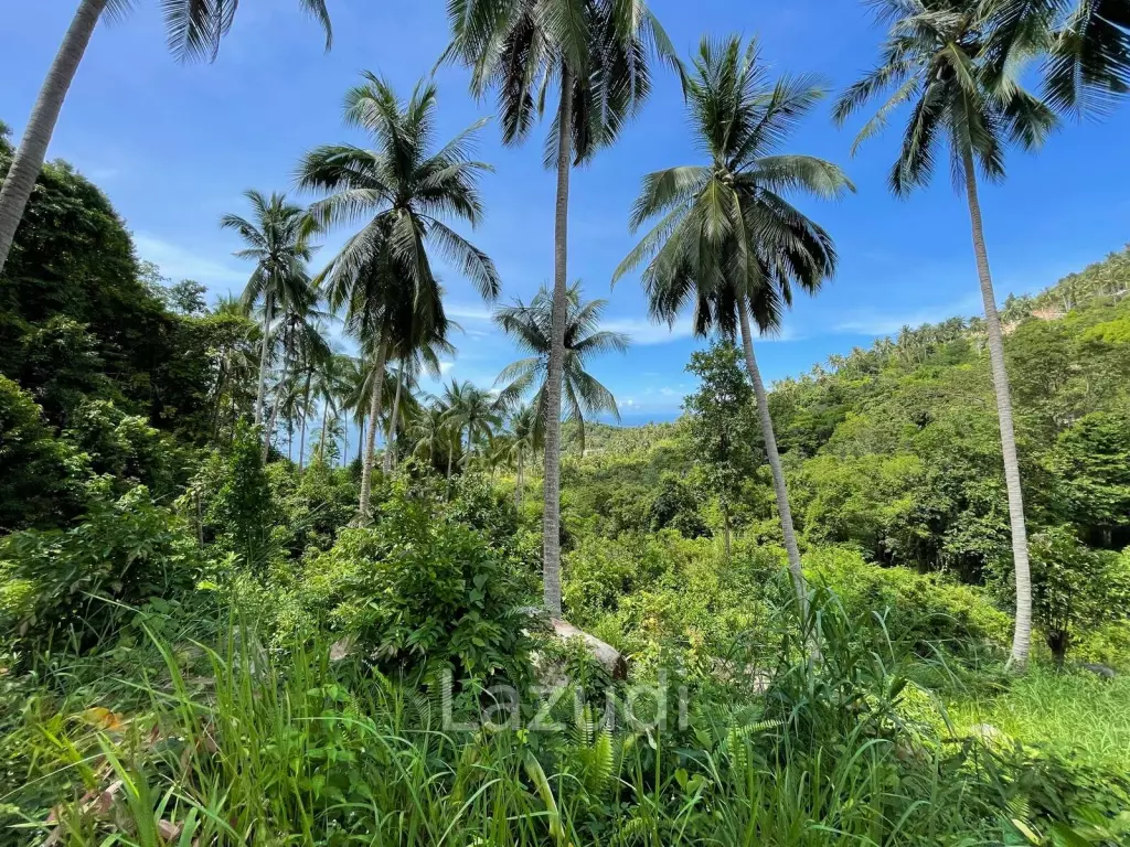 Exceptional 800 sqm Land in Haad Yao with Breathtaking Sea Views