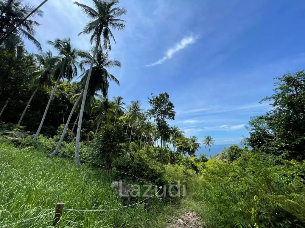 Exceptional 800 sqm Land in Haad Yao with Breathtaking Sea Views