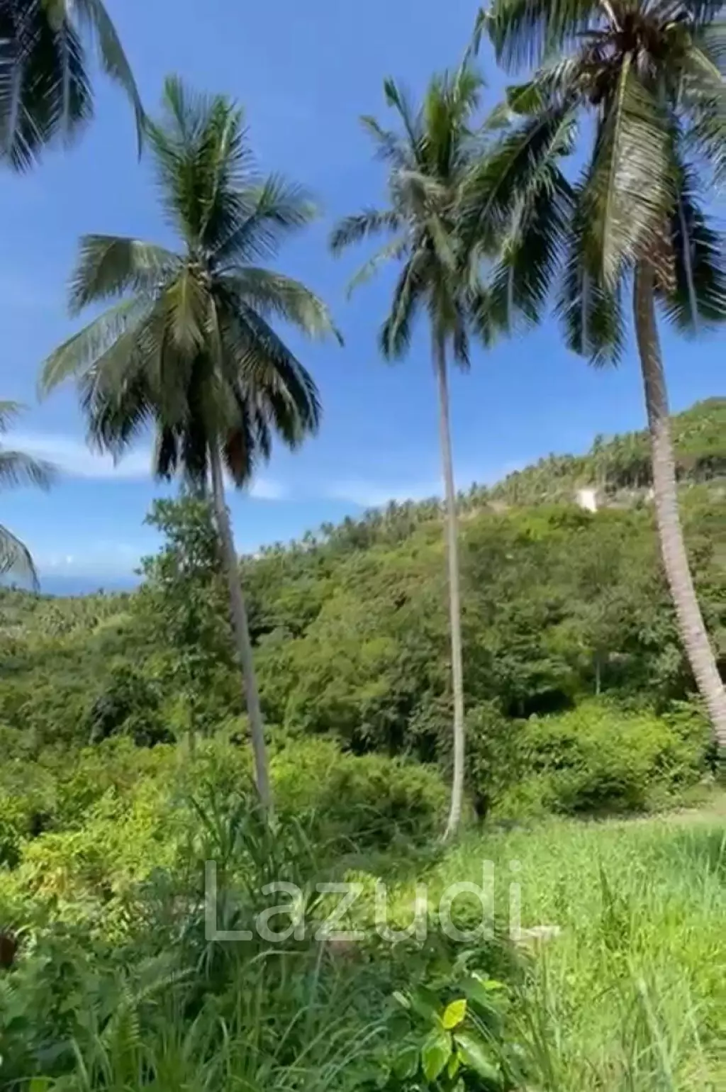 Exceptional 800 sqm Land in Haad Yao with Breathtaking Sea Views