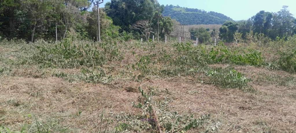 1,212.40 SQ.M. Land For Sale In Muang Phuket