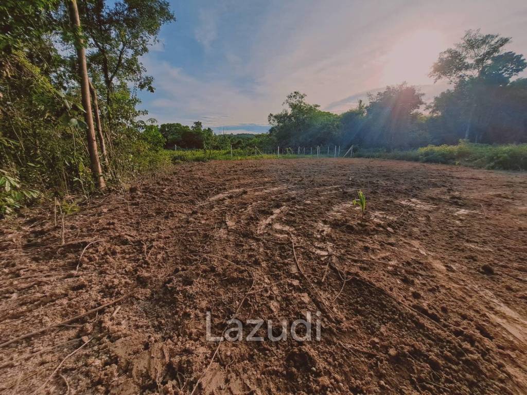 1,212.40 SQ.M. Land For Sale In Muang Phuket