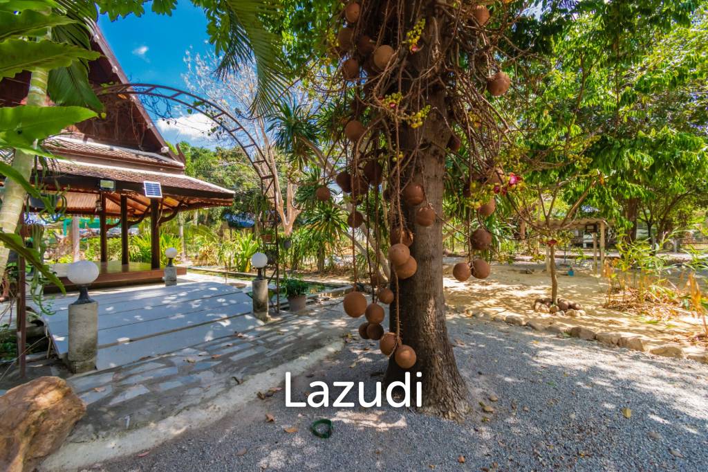 PHUWAI HILLS RESORT :  3 Bed Villa with big land plot