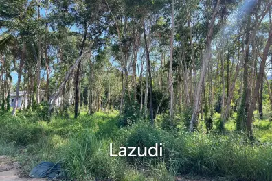 Subdivided Freehold Plots, Each Spanning 748 sqm in Baan Suai Maduwan