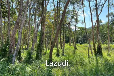 Subdivided Freehold Plots, Each Spanning 748 sqm in Baan Suai Maduwan