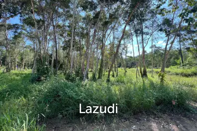 Subdivided Freehold Plots, Each Spanning 748 sqm in Baan Suai Maduwan