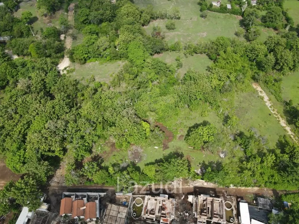1000 Sqm Bingin Land in Tourism Zone