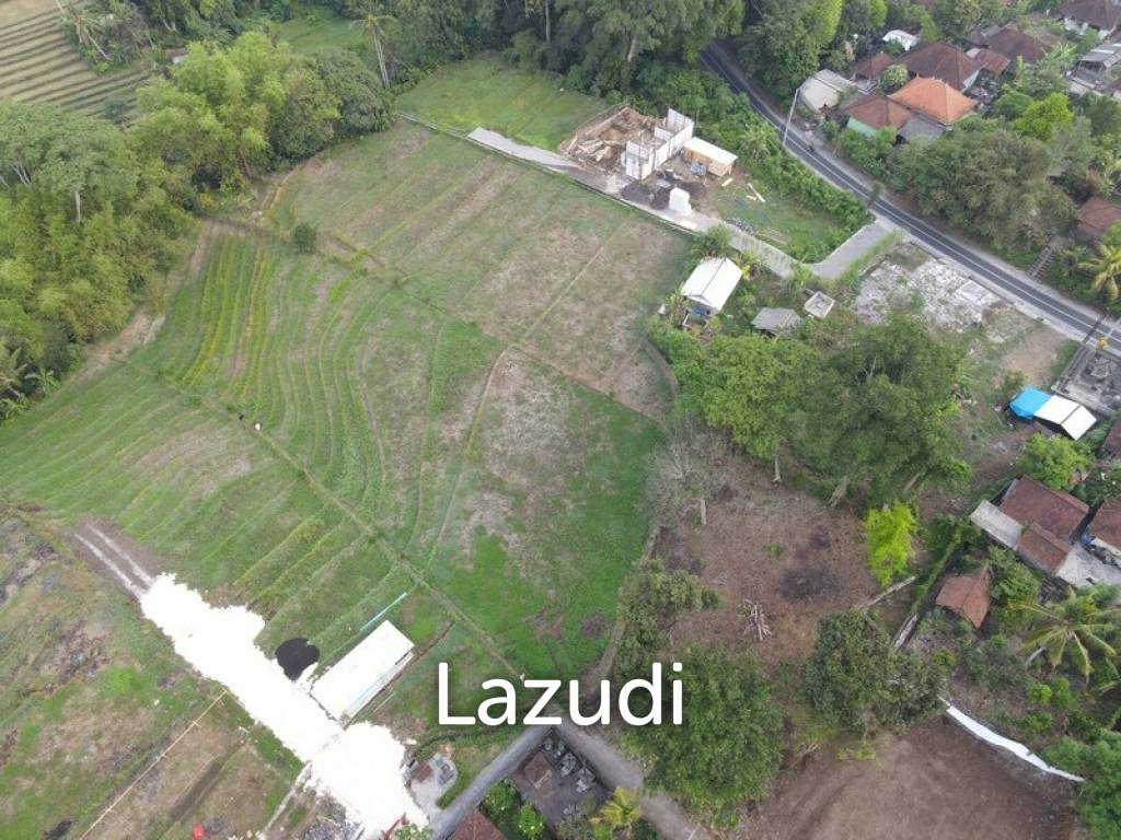 740 Sqm Land 10 Mins to Kedungu Beach