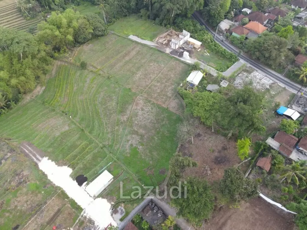 740 Sqm Land 10 Mins to Kedungu Beach