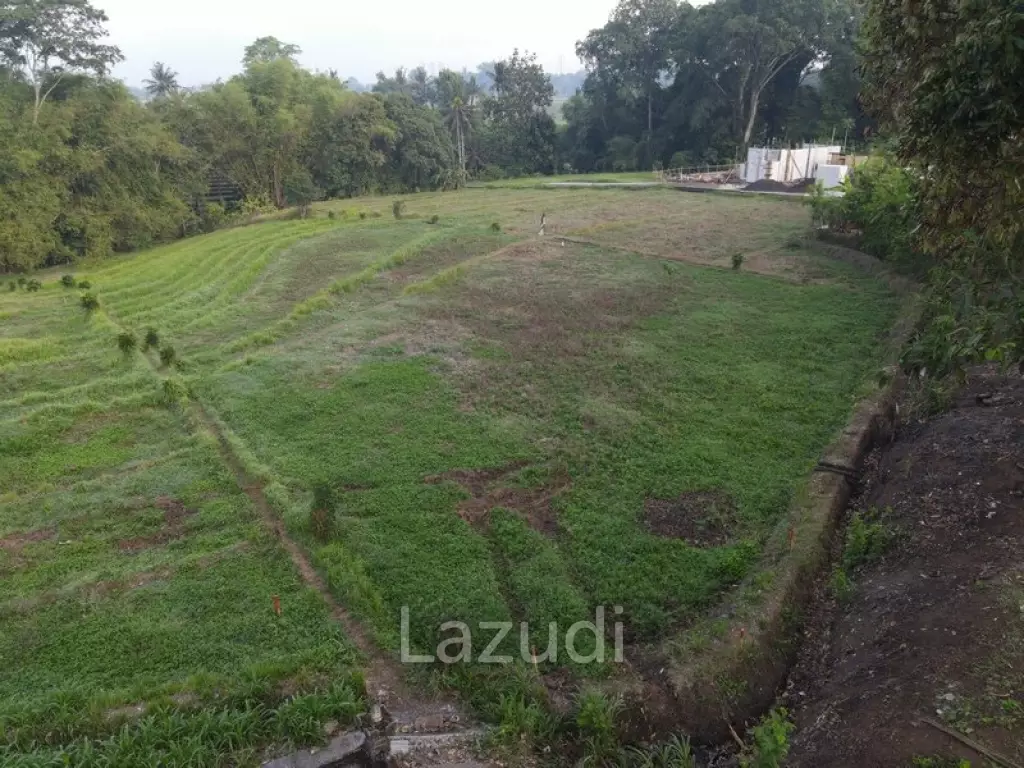 740 Sqm Land 10 Mins to Kedungu Beach