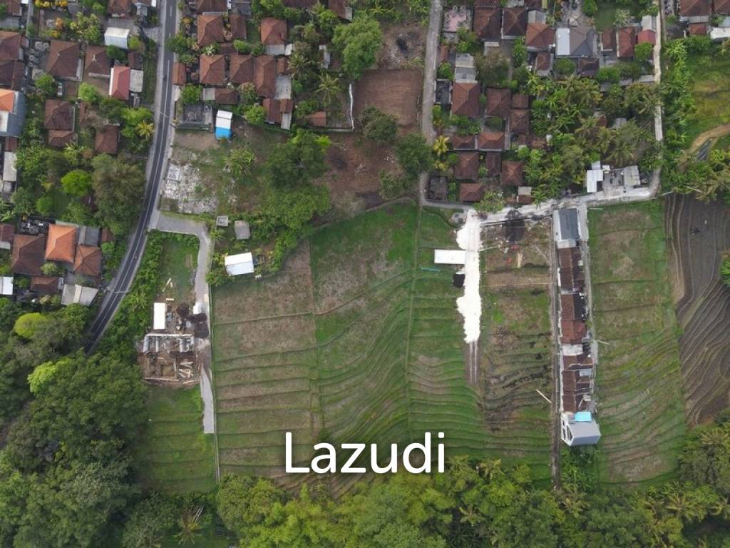 740 Sqm Land 10 Mins to Kedungu Beach