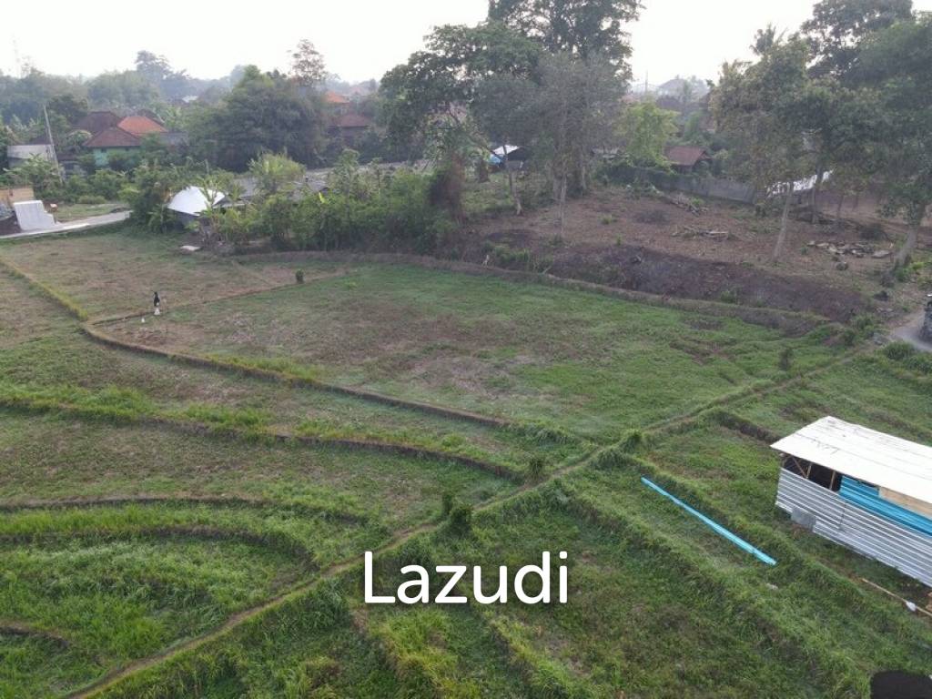 740 Sqm Land 10 Mins to Kedungu Beach