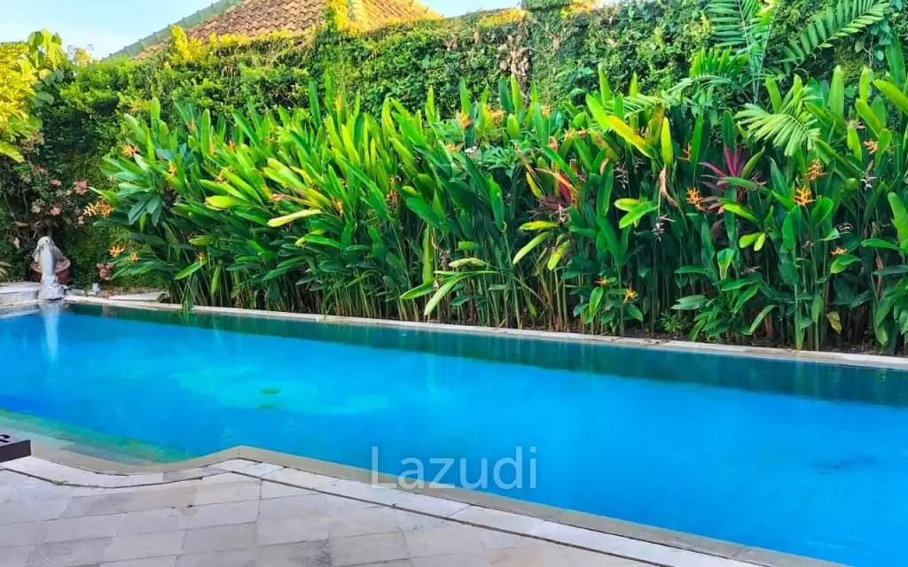 Fantastic Family Home Walking Distance to Beach - Sanur