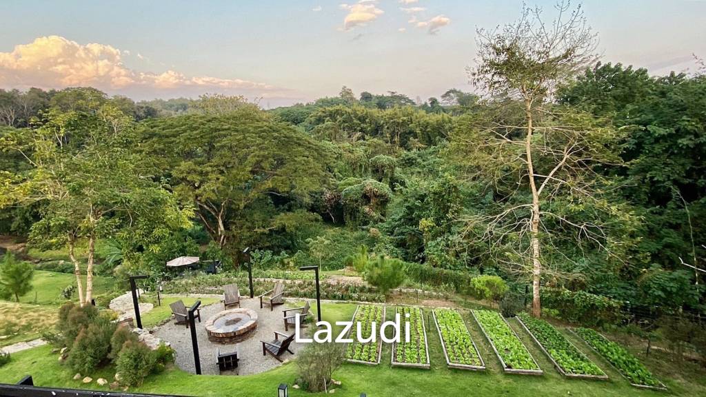 Resort Style House For Rent Close To Stream in Mae Rim
