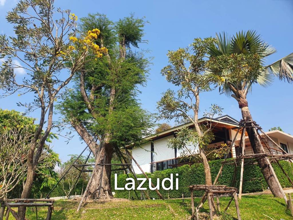 Luxurious Villa in Doi Hang, Chiang Rai with Lush Gardens