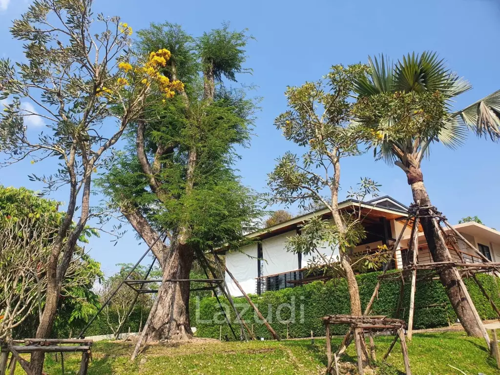Luxurious Villa in Doi Hang, Chiang Rai with Lush Gardens