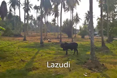 11,336 SQ.M. Land Plot for Sale in Huay Yai