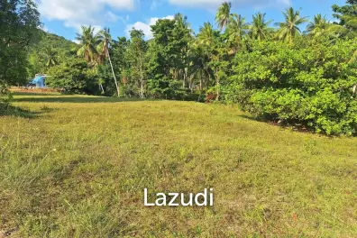 The 1,602 Sqm Land Where Snails Host Green Speed Racing Championships