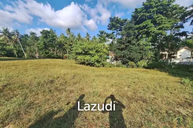 The 1,602 Sqm Land Where Snails Host Green Speed Racing Championships