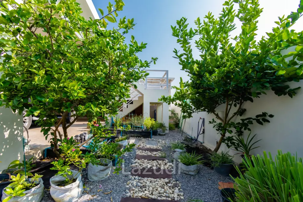 EMERALD SCENERY :  5 Bed Pool Villa with big land plot