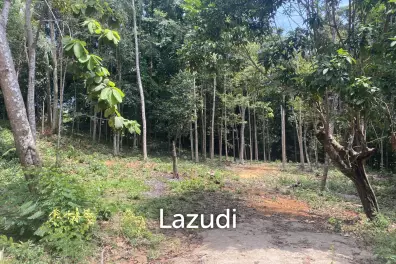 Riverside Bliss: 1784 Sqm Land near Elephant Sanctuary, Temple, and Waterfall in Maduwan – A Tranquil Haven with Nature's Embrace
