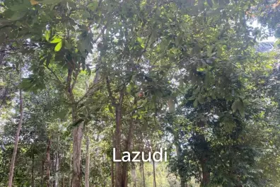 Riverside Bliss: 1784 Sqm Land near Elephant Sanctuary, Temple, and Waterfall in Maduwan – A Tranquil Haven with Nature's Embrace