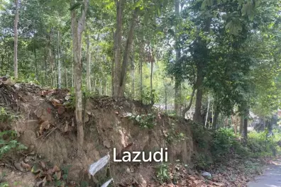 Riverside Bliss: 1784 Sqm Land near Elephant Sanctuary, Temple, and Waterfall in Maduwan – A Tranquil Haven with Nature's Embrace