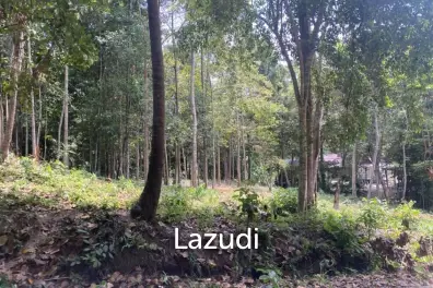 Riverside Bliss: 1784 Sqm Land near Elephant Sanctuary, Temple, and Waterfall in Maduwan – A Tranquil Haven with Nature's Embrace