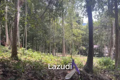 Riverside Bliss: 1784 Sqm Land near Elephant Sanctuary, Temple, and Waterfall in Maduwan – A Tranquil Haven with Nature's Embrace